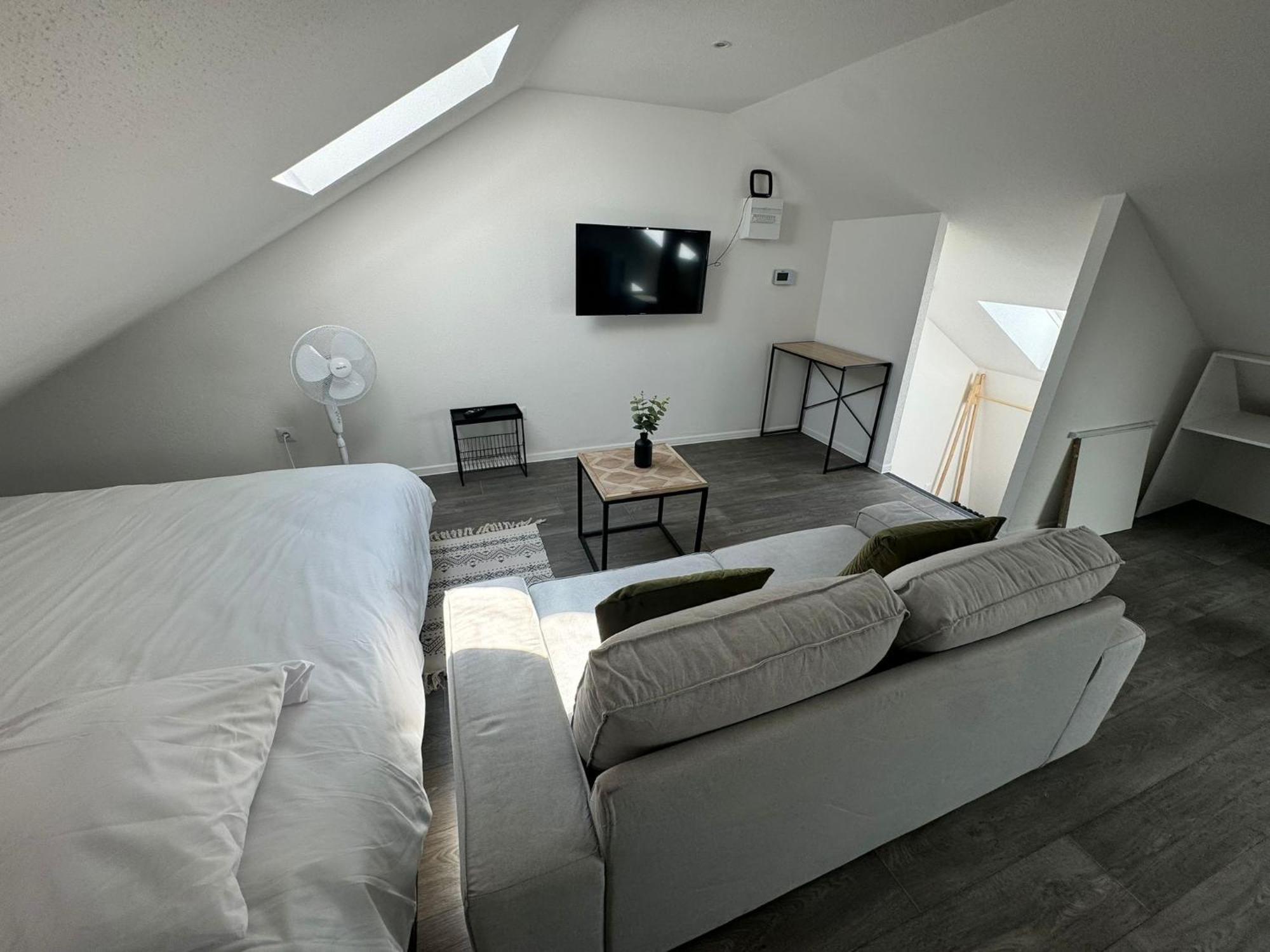 Studio Eucalyptus Charmant Elegant Et Fonctionnel Centre Ville Mulhouse Exterior photo