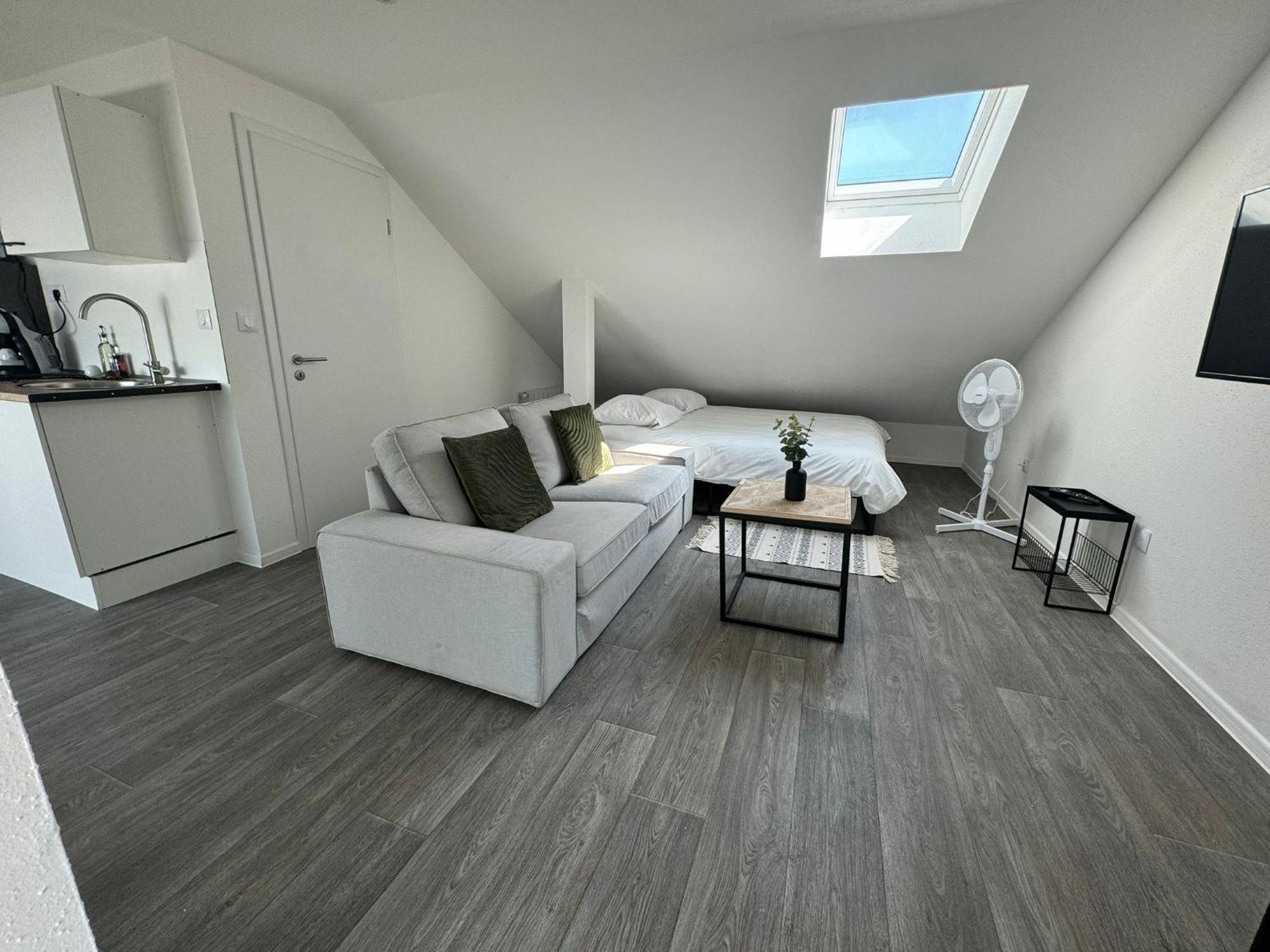 Studio Eucalyptus Charmant Elegant Et Fonctionnel Centre Ville Mulhouse Exterior photo